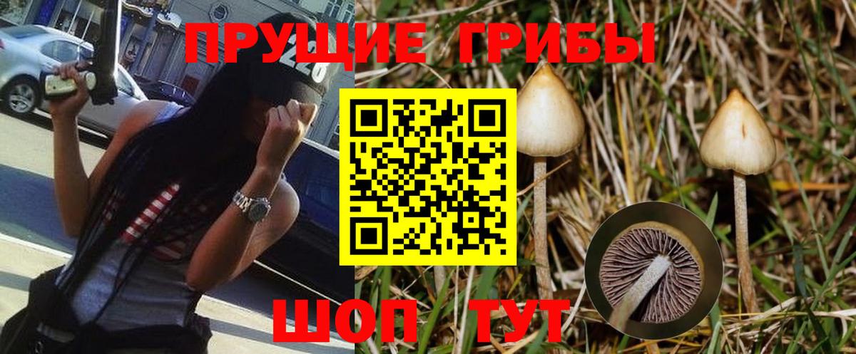 Галлюциногенные грибы мицелий  Вход с VPN  Кимры 